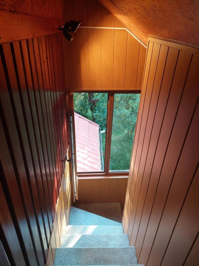 Cabana Cu Teren De Tenis -- Etaj Banita Luaran gambar