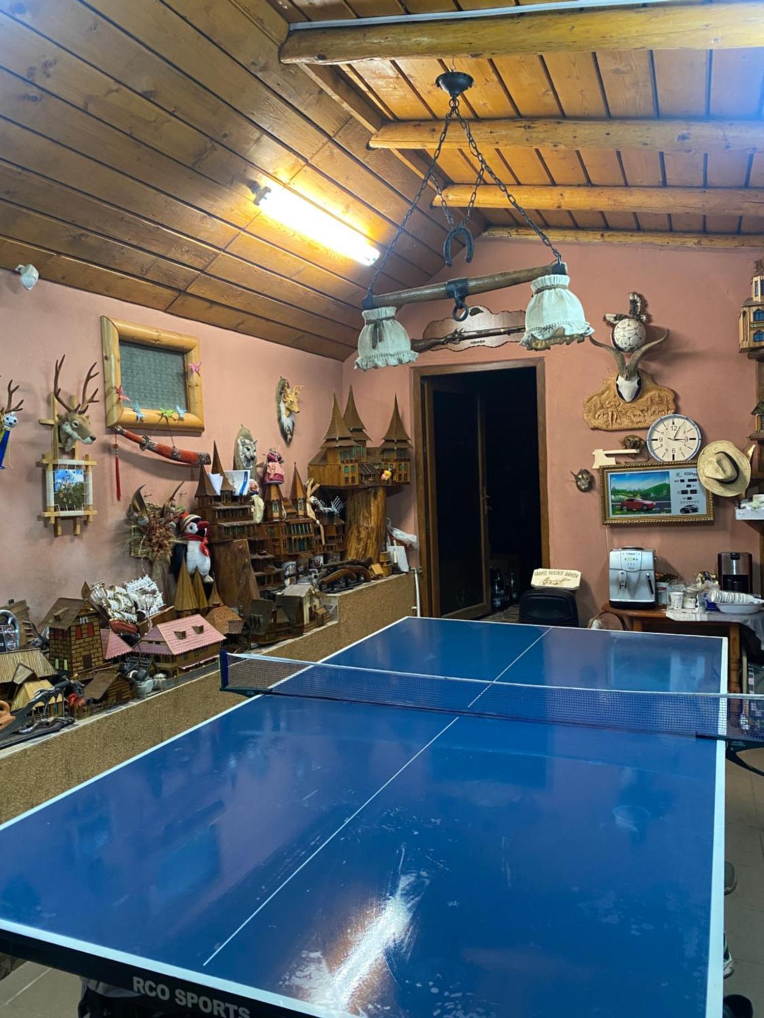 Cabana Cu Teren De Tenis -- Etaj Banita Luaran gambar